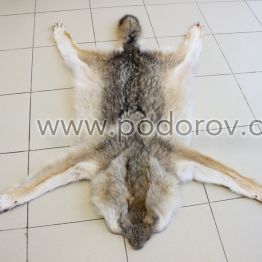 Шкура волка без головы