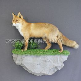Чучело лисы на камне
