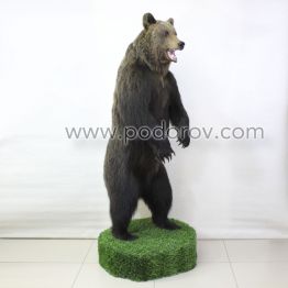 Чучело медведя 190 см