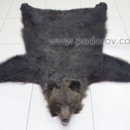 Ковёр из шкуры медведя 180 см