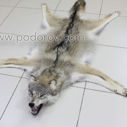 Шкура волка 120 см