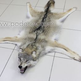Шкура волка 120 см