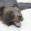 Ковёр из шкуры медведя 180 см