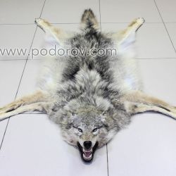 Шкура волка 140 см